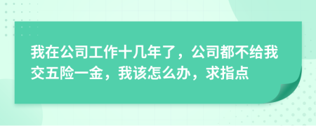 我在公司工作十幾年了，公司都不給我交五險(xiǎn)一金，我該怎么辦，求指點(diǎn)