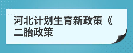 河北計(jì)劃生育新政策《二胎政策