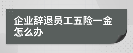 企業(yè)辭退員工五險一金怎么辦