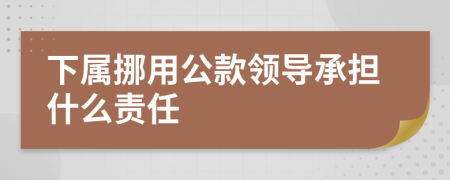 下屬挪用公款領(lǐng)導(dǎo)承擔(dān)什么責(zé)任