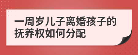一周歲兒子離婚孩子的撫養(yǎng)權(quán)如何分配