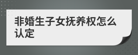 非婚生子女撫養(yǎng)權(quán)怎么認定