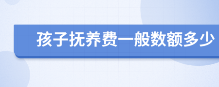 孩子撫養(yǎng)費(fèi)一般數(shù)額多少