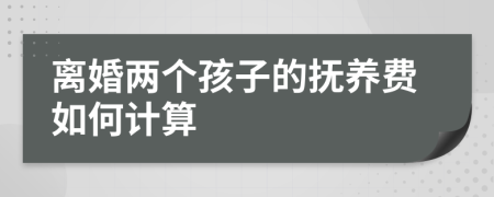 離婚兩個孩子的撫養(yǎng)費如何計算