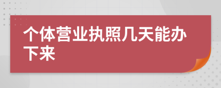個體營業(yè)執(zhí)照幾天能辦下來