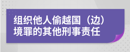 組織他人偷越國（邊）境罪的其他刑事責(zé)任
