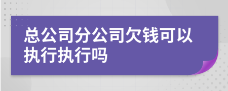 總公司分公司欠錢可以執(zhí)行執(zhí)行嗎