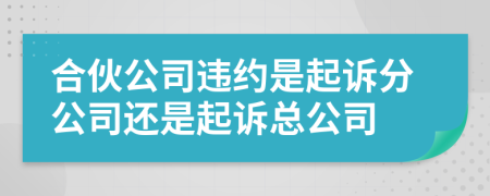 合伙公司違約是起訴分公司還是起訴總公司
