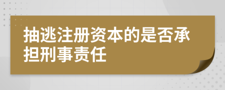 抽逃注冊資本的是否承擔(dān)刑事責(zé)任