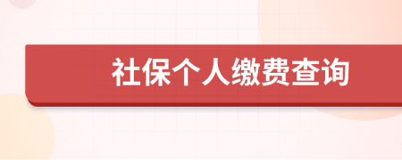 社保個(gè)人繳費(fèi)查詢