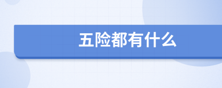 五險都有什么