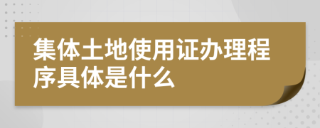 集體土地使用證辦理程序具體是什么