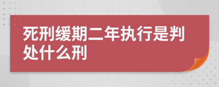 死刑緩期二年執(zhí)行是判處什么刑