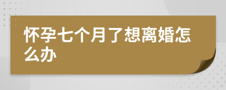 懷孕七個(gè)月了想離婚怎么辦