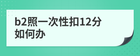 b2照一次性扣12分如何辦
