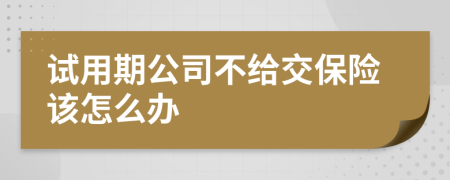 試用期公司不給交保險(xiǎn)該怎么辦