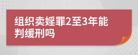 組織賣婬罪2至3年能判緩刑嗎
