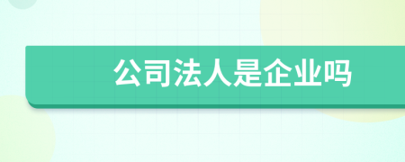 公司法人是企業(yè)嗎