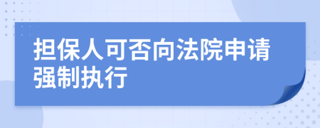 擔(dān)保人可否向法院申請強制執(zhí)行