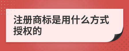 注冊(cè)商標(biāo)是用什么方式授權(quán)的