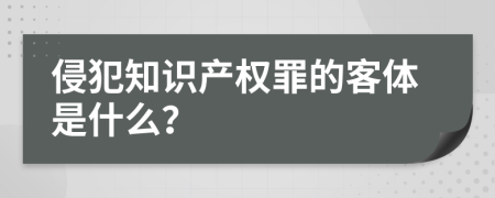 侵犯知識產(chǎn)權(quán)罪的客體是什么？