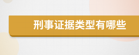 刑事證據(jù)類型有哪些