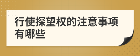 行使探望權(quán)的注意事項有哪些