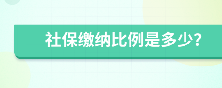 社保繳納比例是多少？