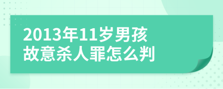 2013年11歲男孩故意殺人罪怎么判