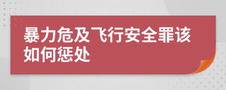 暴力危及飛行安全罪該如何懲處