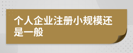 個人企業(yè)注冊小規(guī)模還是一般