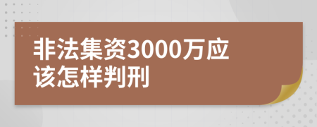 非法集資3000萬(wàn)應(yīng)該怎樣判刑