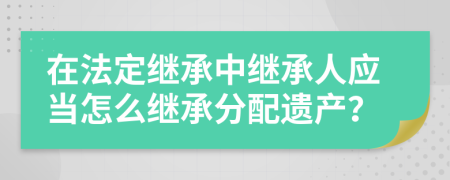 在法定繼承中繼承人應(yīng)當(dāng)怎么繼承分配遺產(chǎn)？
