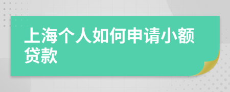 上海個人如何申請小額貸款