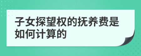 子女探望權(quán)的撫養(yǎng)費(fèi)是如何計(jì)算的
