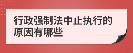 行政強制法中止執(zhí)行的原因有哪些