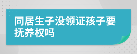 同居生子沒領證孩子要撫養(yǎng)權(quán)嗎