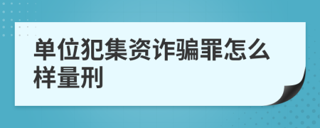 單位犯集資詐騙罪怎么樣量刑