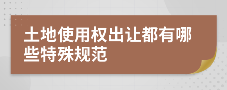 土地使用權出讓都有哪些特殊規(guī)范
