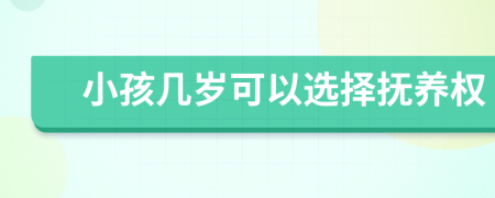 小孩幾歲可以選擇撫養(yǎng)權(quán)