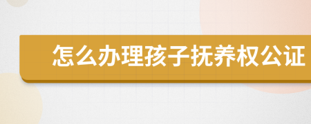 怎么辦理孩子撫養(yǎng)權(quán)公證