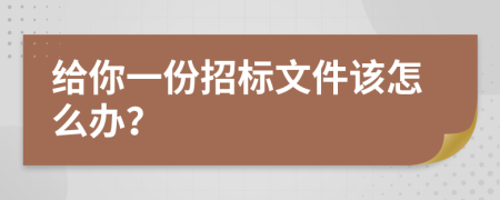 給你一份招標(biāo)文件該怎么辦？