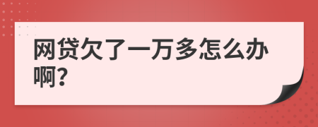 網(wǎng)貸欠了一萬多怎么辦啊？