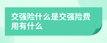 交強險什么是交強險費用有什么