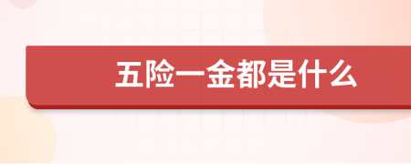 五險(xiǎn)一金都是什么