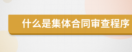 什么是集體合同審查程序