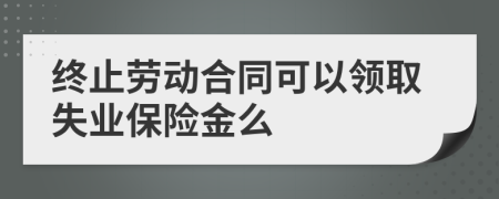 終止勞動合同可以領取失業(yè)保險金么