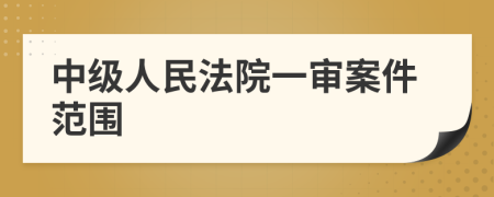 中級人民法院一審案件范圍