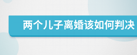 兩個(gè)兒子離婚該如何判決