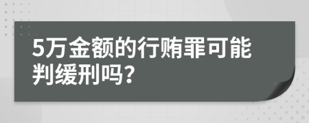 5萬金額的行賄罪可能判緩刑嗎？